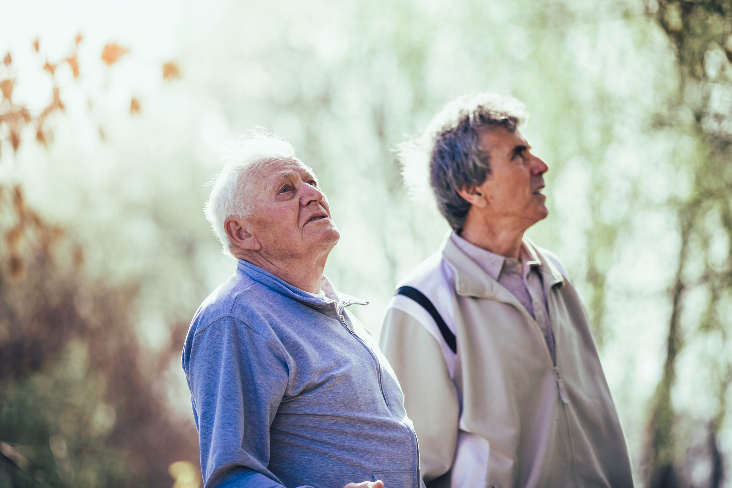 Adult son walking with his senior father in the park.